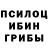 Псилоцибиновые грибы мухоморы Olga's Mamagzhanova