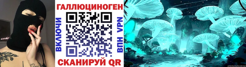 Купить  Волхов  Галлюциногенные грибы Psilocybe 