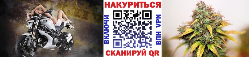 Конопля марихуана  Купить закладки  Волхов 